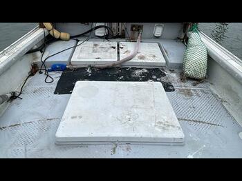 thumb_095289-yanmar-zd43