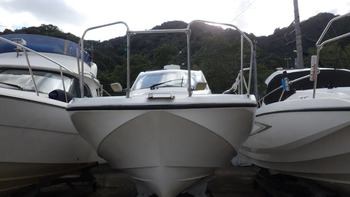 thumb_095316-yamaha-yfr-27-fsr