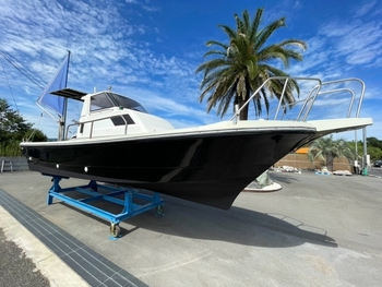 thumb_095348-yamaha-yd-26