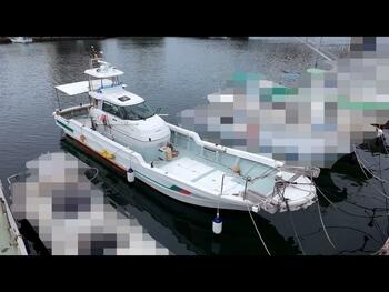 thumb_095381-yanmar-da51v