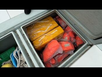 thumb_095381-yanmar-da51v
