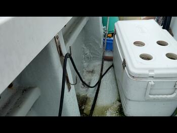 thumb_095381-yanmar-da51v