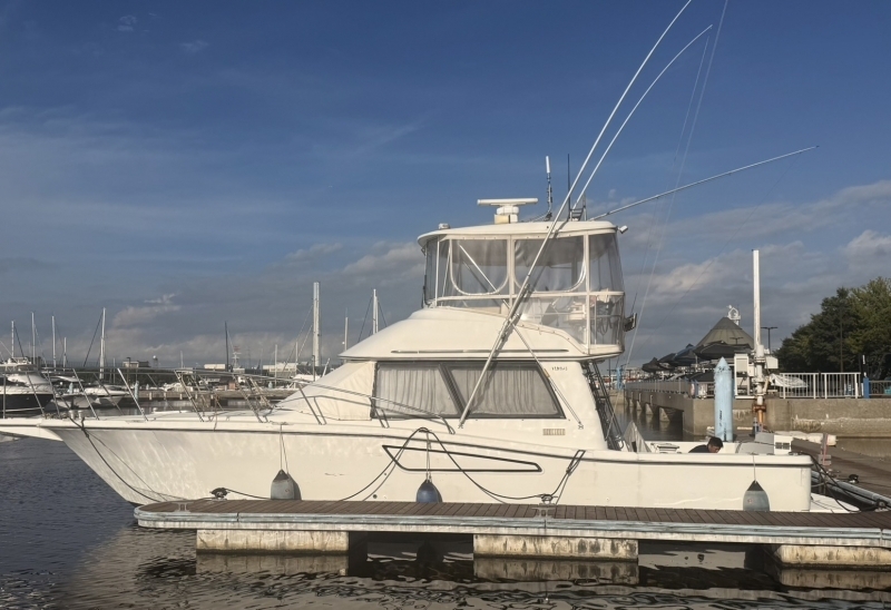 banner_095407-yamaha-pc-41-pacific-cruiser-41