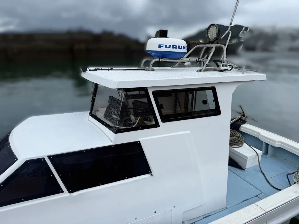 banner_095411-yamaha-dy-29