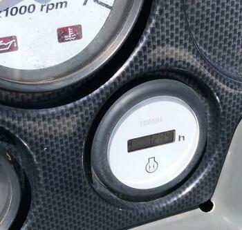 thumb_095421-yamaha-ag-21