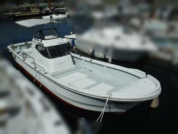 thumb_095433-yanmar-de24b
