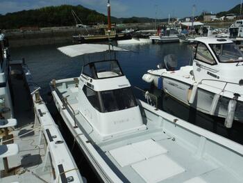 thumb_095433-yanmar-de24b