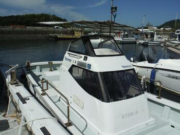 thumb_095433-yanmar-de24b