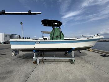 thumb_095436-yamaha-fw-23