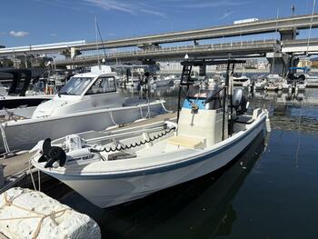 thumb_095436-yamaha-fw-23