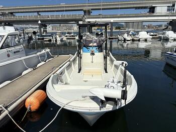 thumb_095436-yamaha-fw-23