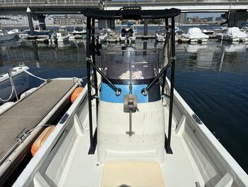 thumb_095436-yamaha-fw-23