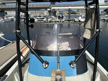 thumb_095436-yamaha-fw-23