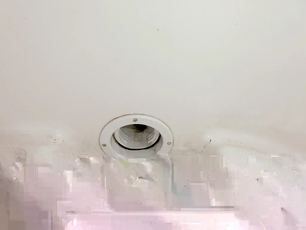 banner_095444-yamaha-yfr-24ex