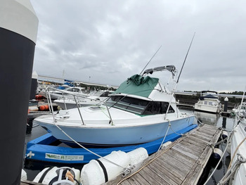 thumb_095446-bertram-28