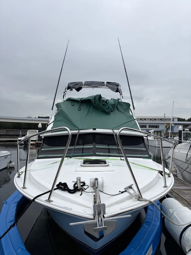 banner_095446-bertram-28