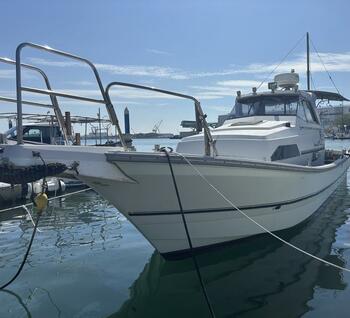 thumb_095455-yanmar-el31