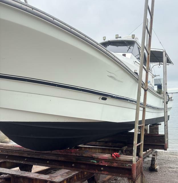 banner_095455-yanmar-el31