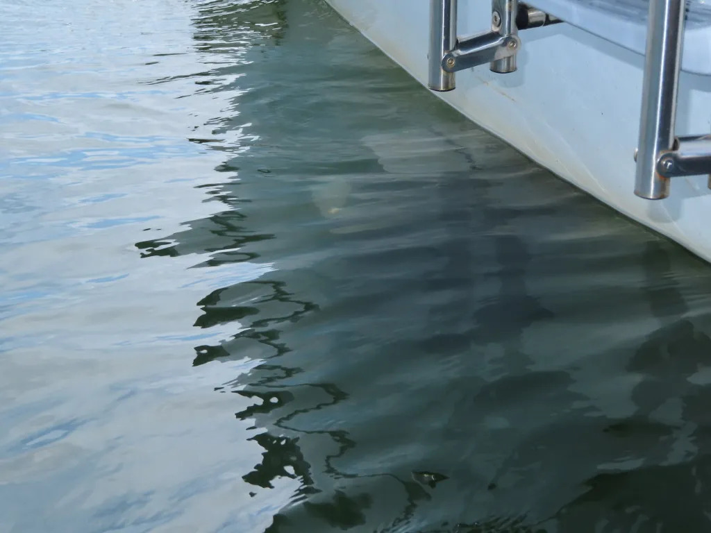 banner_095463-yanmar-ex29