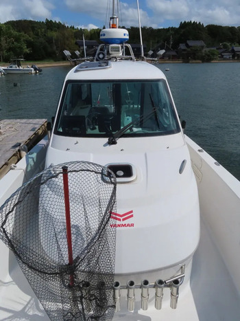 thumb_095463-yanmar-ex29