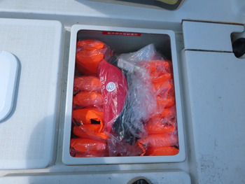 thumb_095463-yanmar-ex29