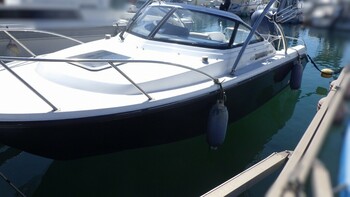 thumb_095461-yamaha-fr-21