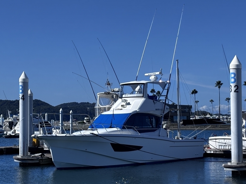 banner_095505-yanmar-ex38a