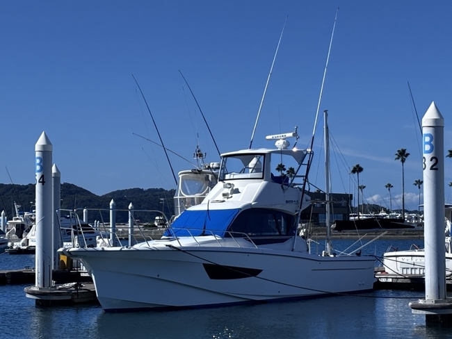 medium_095505-yanmar-ex38a