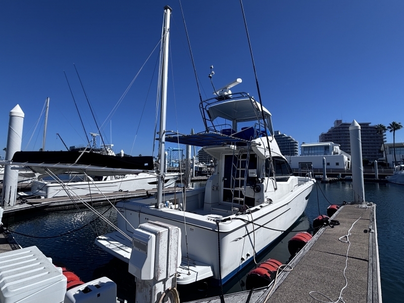 banner_095505-yanmar-ex38a