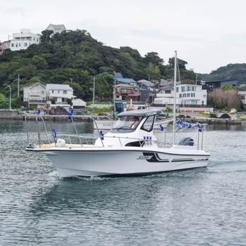 thumb_095504-yamaha-f-a-s-t-26