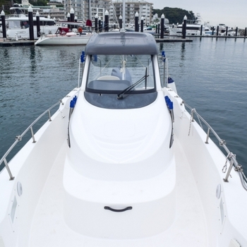 thumb_095504-yamaha-f-a-s-t-26