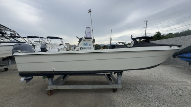 medium_095537-yamaha-fw-20