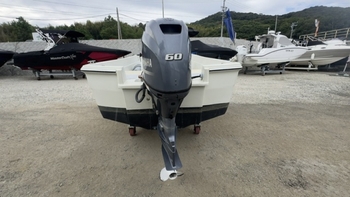thumb_095537-yamaha-fw-20