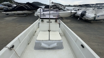 thumb_095537-yamaha-fw-20