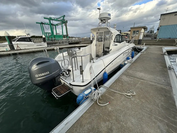 thumb_095539-yamaha-yfr-24