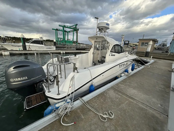 thumb_095539-yamaha-yfr-24