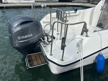 thumb_095539-yamaha-yfr-24