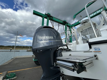 thumb_095539-yamaha-yfr-24