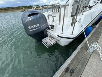thumb_095539-yamaha-yfr-24