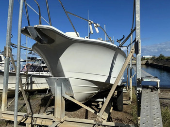 thumb_095561-yanmar-fx27z