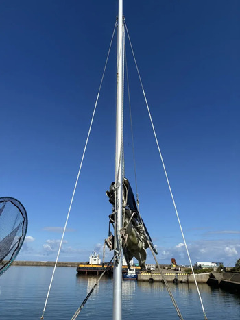 thumb_095561-yanmar-fx27z