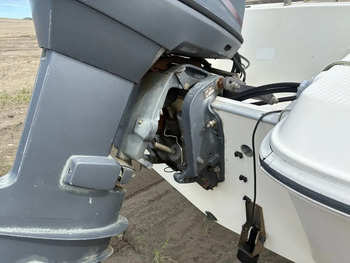 thumb_095565-yamaha-sunfriend-21