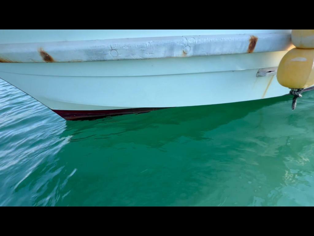 banner_095598-yanmar-de29b