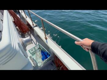 thumb_095598-yanmar-de29b