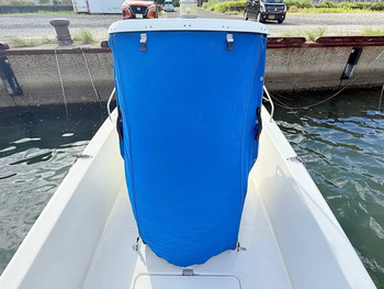 thumb_095620-yamaha-yf-21