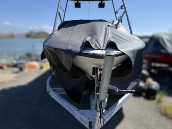 thumb_095639-yamaha-ag-21