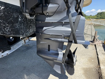 thumb_095639-yamaha-ag-21