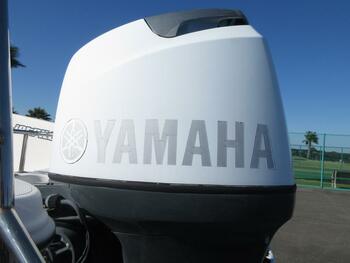thumb_095644-yamaha-as-21-aero-sports-21