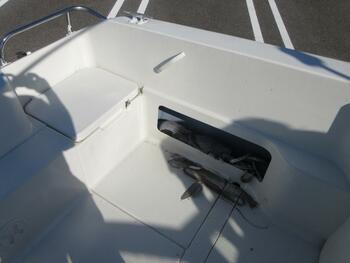 thumb_095683-yamaha-fr-24