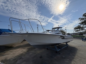 thumb_095688-yamaha-f-a-s-t-26